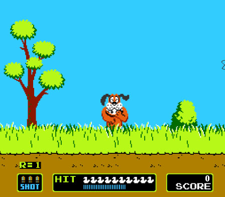Duck hunt